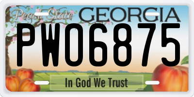 GA license plate PWO6875