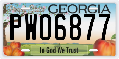 GA license plate PWO6877