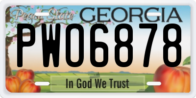 GA license plate PWO6878