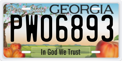 GA license plate PWO6893