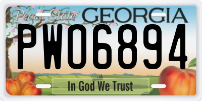 GA license plate PWO6894
