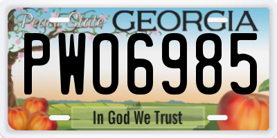 GA license plate PWO6985