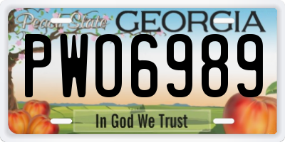 GA license plate PWO6989