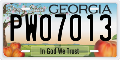 GA license plate PWO7013