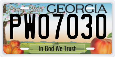 GA license plate PWO7030