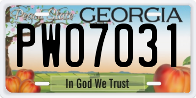 GA license plate PWO7031