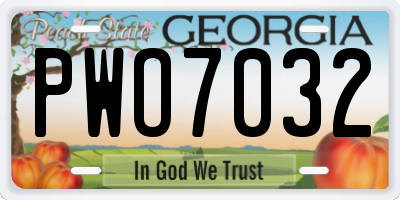 GA license plate PWO7032