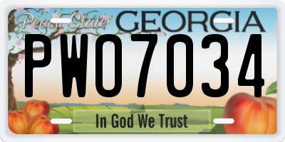 GA license plate PWO7034