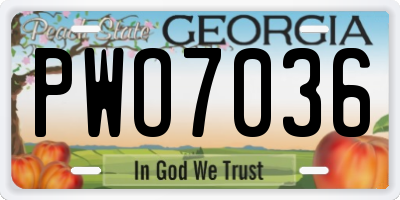GA license plate PWO7036