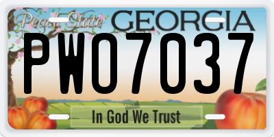 GA license plate PWO7037