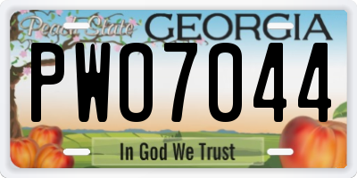 GA license plate PWO7044