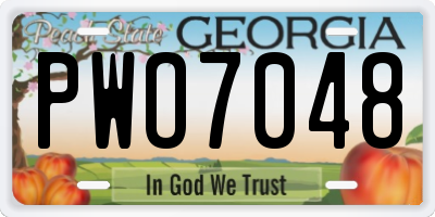 GA license plate PWO7048