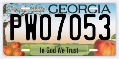 GA license plate PWO7053