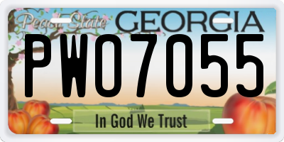 GA license plate PWO7055