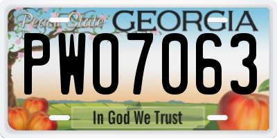 GA license plate PWO7063