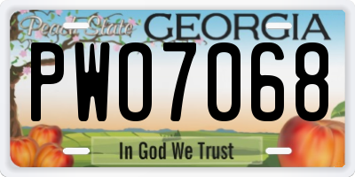 GA license plate PWO7068