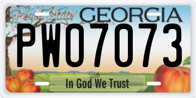 GA license plate PWO7073