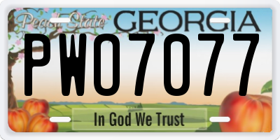 GA license plate PWO7077