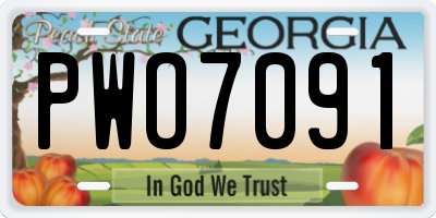 GA license plate PWO7091