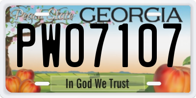 GA license plate PWO7107