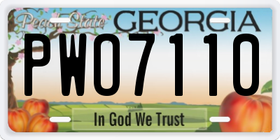 GA license plate PWO7110