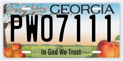 GA license plate PWO7111