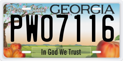 GA license plate PWO7116