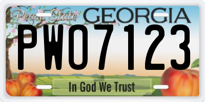 GA license plate PWO7123