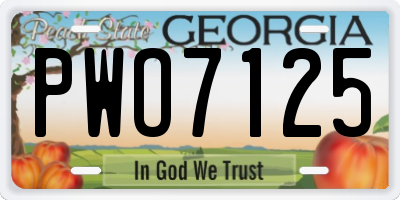 GA license plate PWO7125