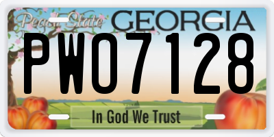 GA license plate PWO7128