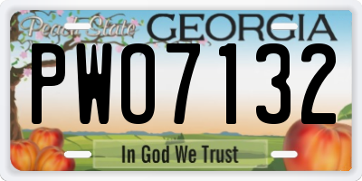GA license plate PWO7132