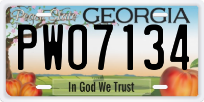 GA license plate PWO7134