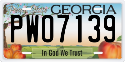 GA license plate PWO7139