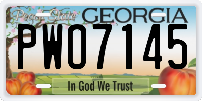 GA license plate PWO7145