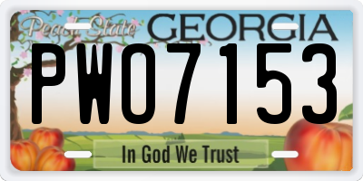 GA license plate PWO7153