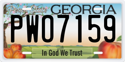 GA license plate PWO7159