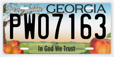 GA license plate PWO7163