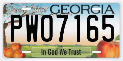 GA license plate PWO7165