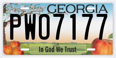 GA license plate PWO7177
