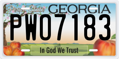 GA license plate PWO7183