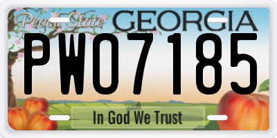 GA license plate PWO7185