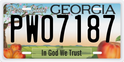 GA license plate PWO7187