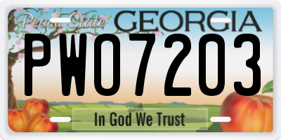 GA license plate PWO7203
