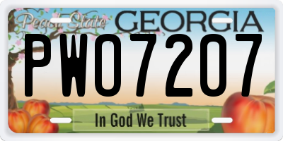 GA license plate PWO7207