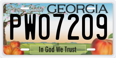 GA license plate PWO7209