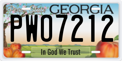 GA license plate PWO7212