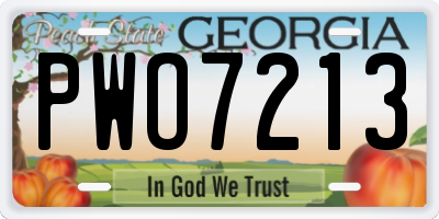 GA license plate PWO7213