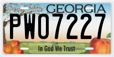 GA license plate PWO7227