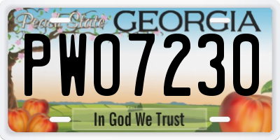 GA license plate PWO7230