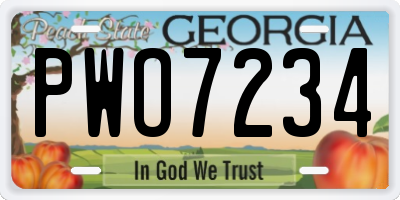 GA license plate PWO7234